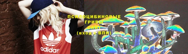 дживик Алексин