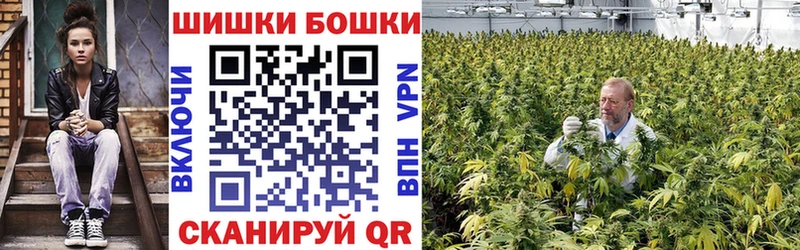Шишки марихуана планчик  Шуя 